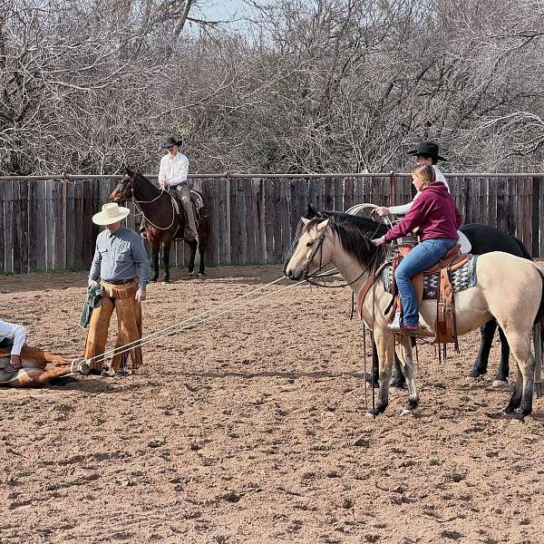 barrel-quarter-horse