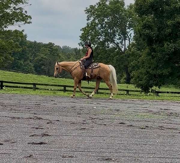 barn-quarter-horse