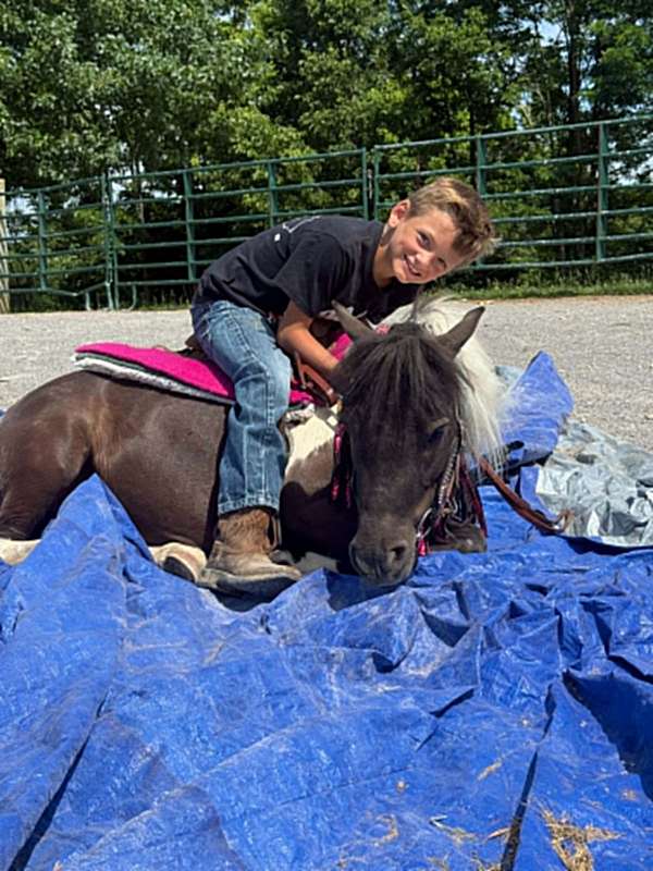 black-n-white-pony