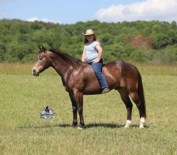 dark-points-horse