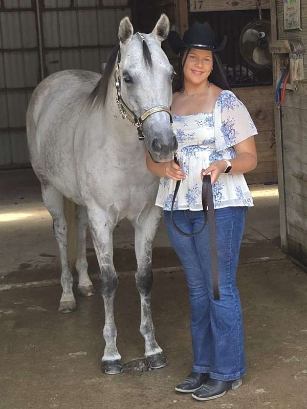 broodmare-potential-appendix-horse