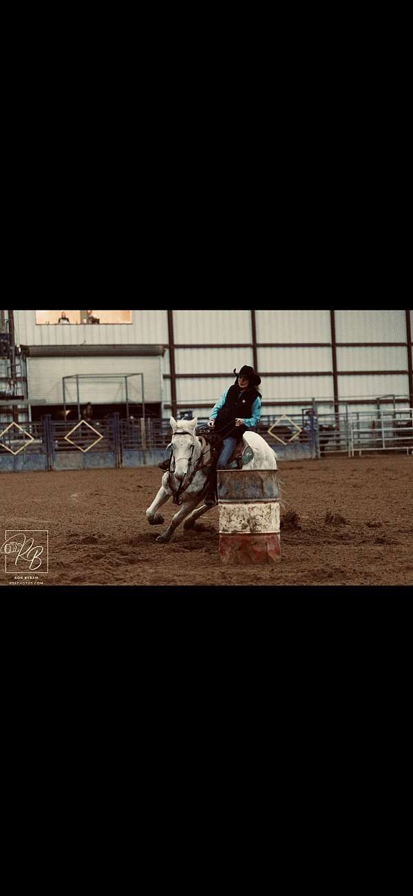 white-rodeo-pickup-horse