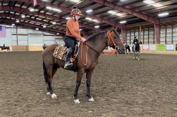 project-curly-mustang-horse