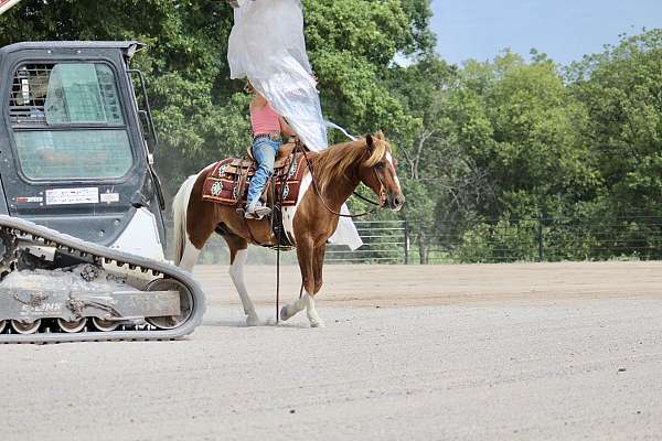 kid-safe-paint-pony