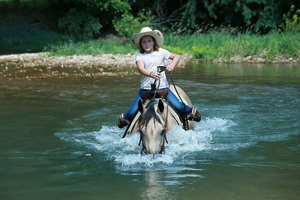performance-quarter-horse