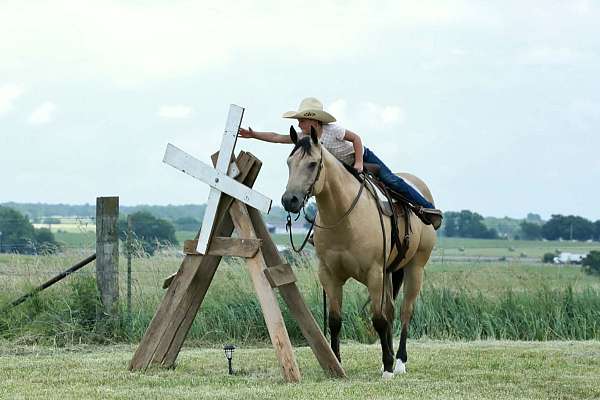 ranch-versatility-quarter-horse