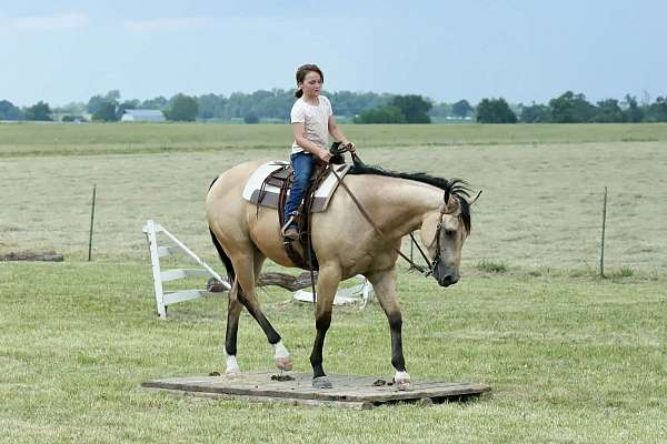 trail-riding-quarter-horse