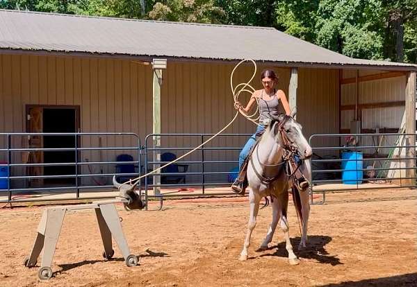 athletic-draft-horse
