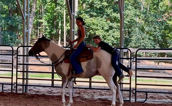 cross-draft-horse