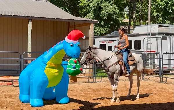 draft-horse