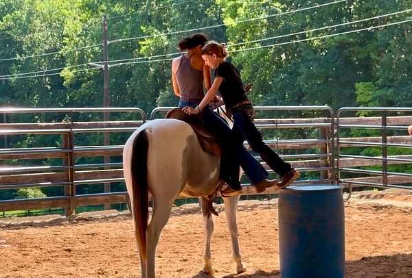 kid-safe-draft-horse