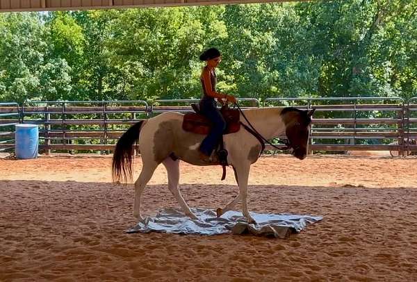 trail-riding-draft-horse