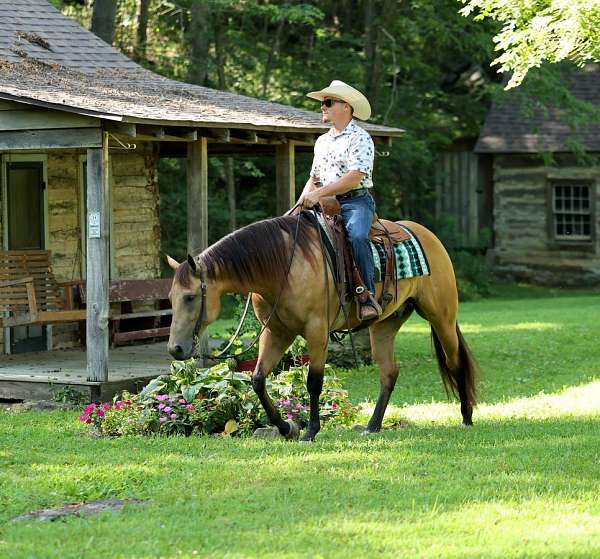 roping-quarter-horse