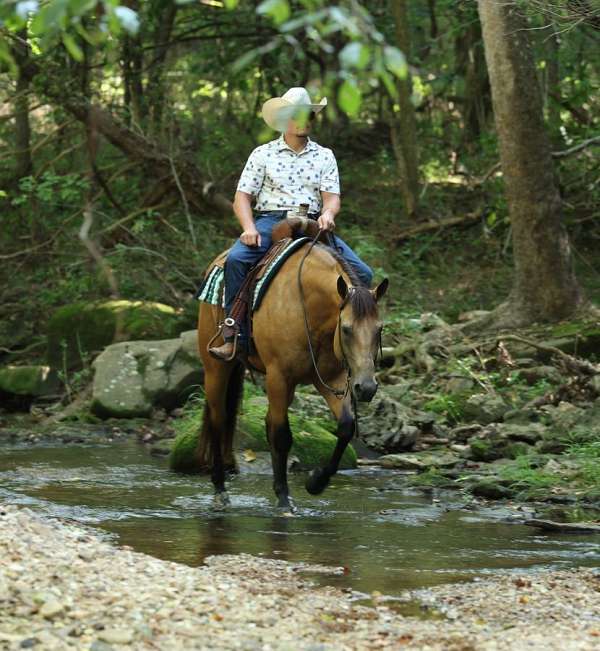 trail-riding-quarter-horse