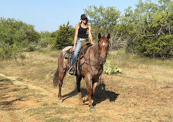 trail-riding-quarter-horse