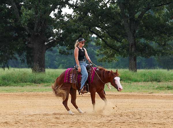 ranch-quarter-pony