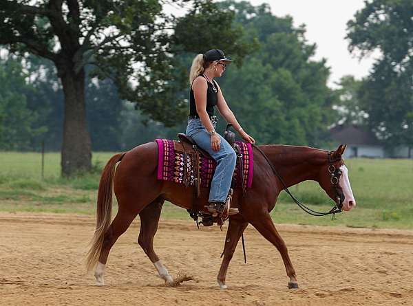 ranch-work-quarter-pony