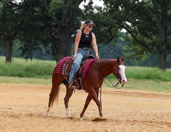 reining-quarter-pony