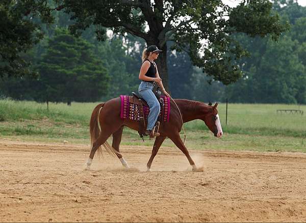 show-hack-quarter-pony