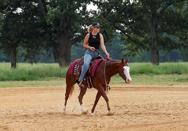 trail-quarter-pony