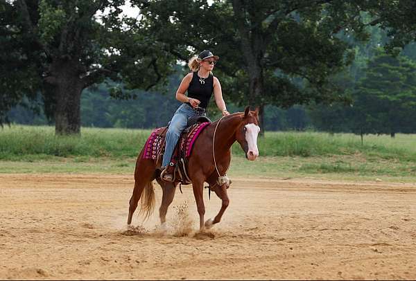 trail-riding-quarter-pony