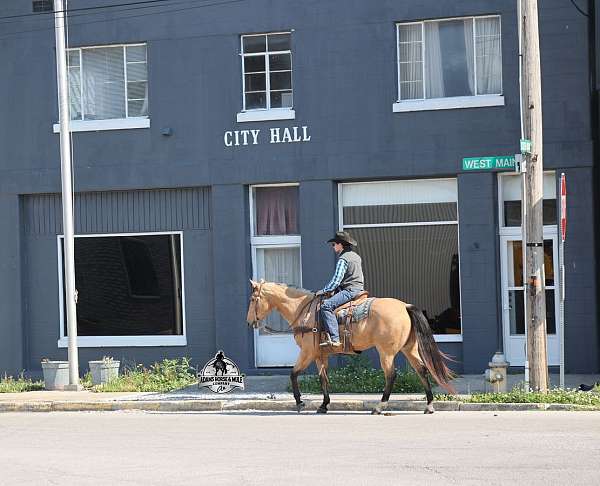 roping-quarter-horse