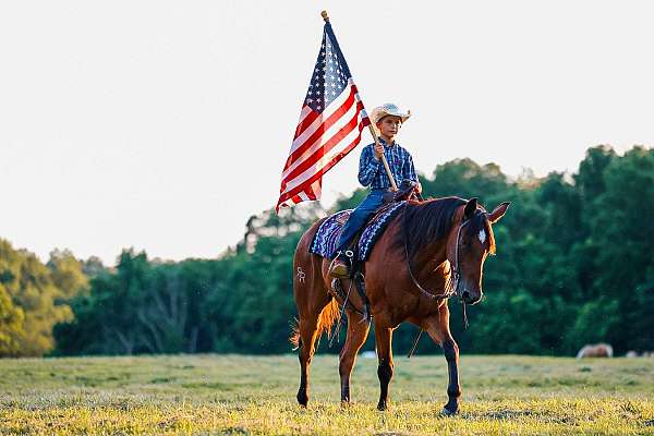 barrel-racing-quarter-horse