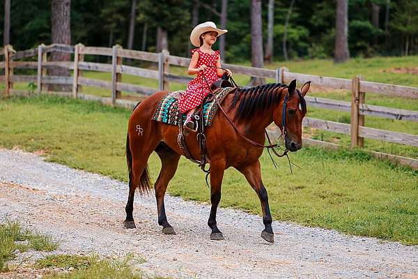 kid-safe-quarter-horse