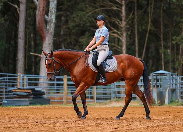 roping-quarter-horse