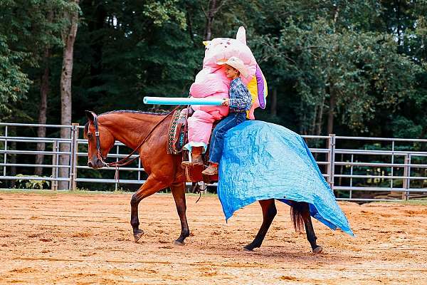 trail-quarter-horse
