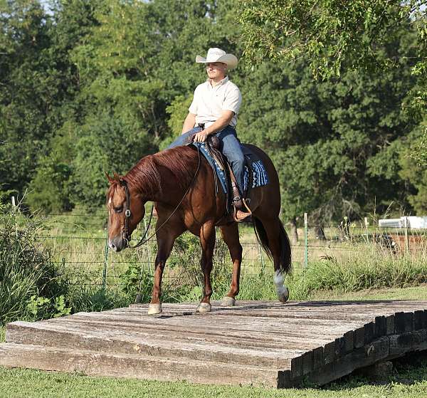 flashy-quarter-horse