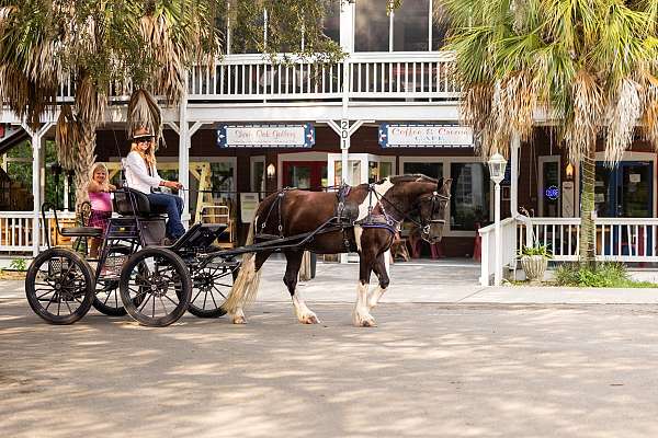 jumping-gypsy-vanner-horse
