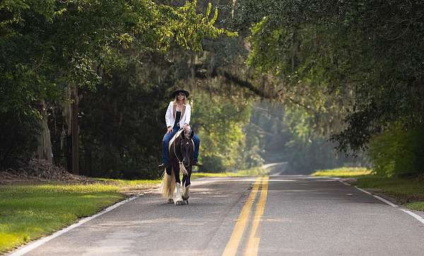 kid-safe-gypsy-vanner-horse