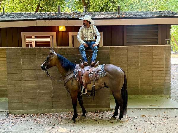ranch-work-quarter-horse