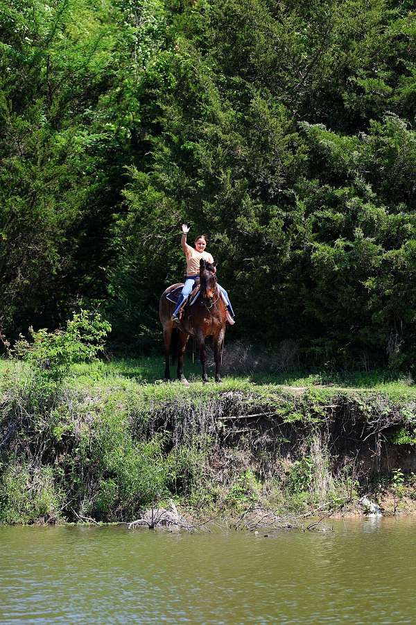 ranch-quarter-horse
