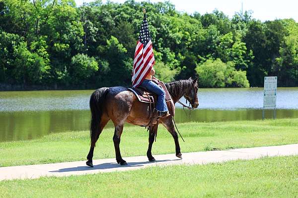 ranch-versatility-quarter-horse