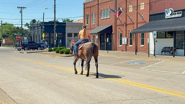 ranch-work-quarter-horse