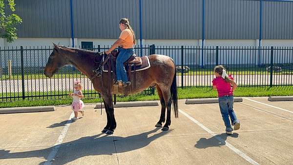 ridden-western-quarter-horse