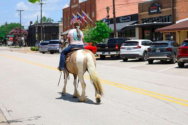 parade-gypsy-vanner-horse