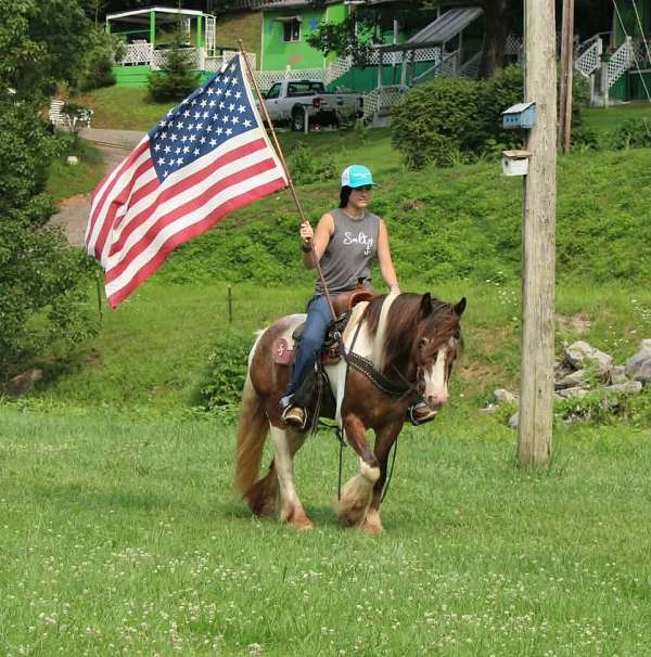ranch-versatility-gypsy-vanner-horse