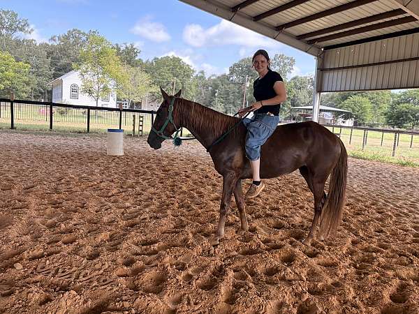 foundation-pony