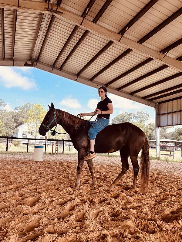 youth-pony