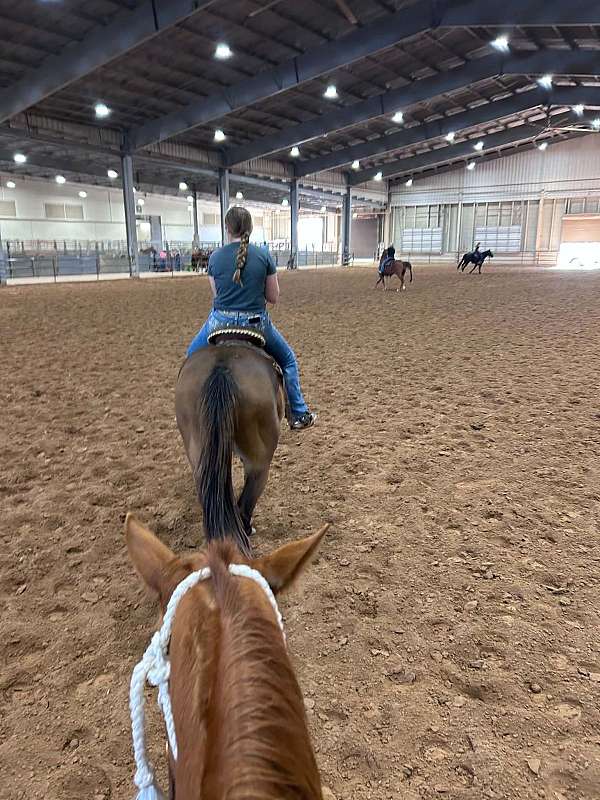 barrel-race-thoroughbred-horse