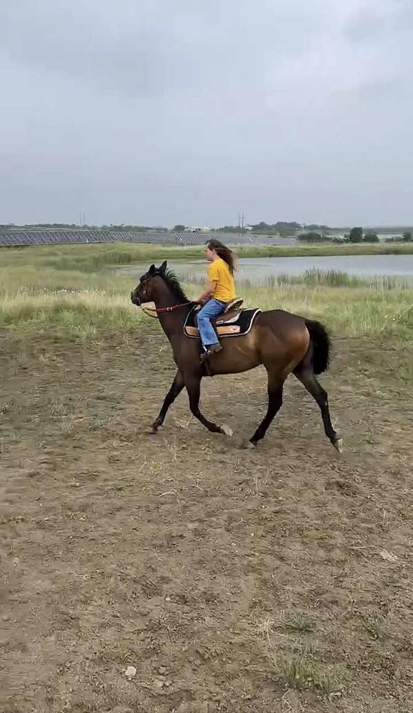 barrel-racing-thoroughbred-horse