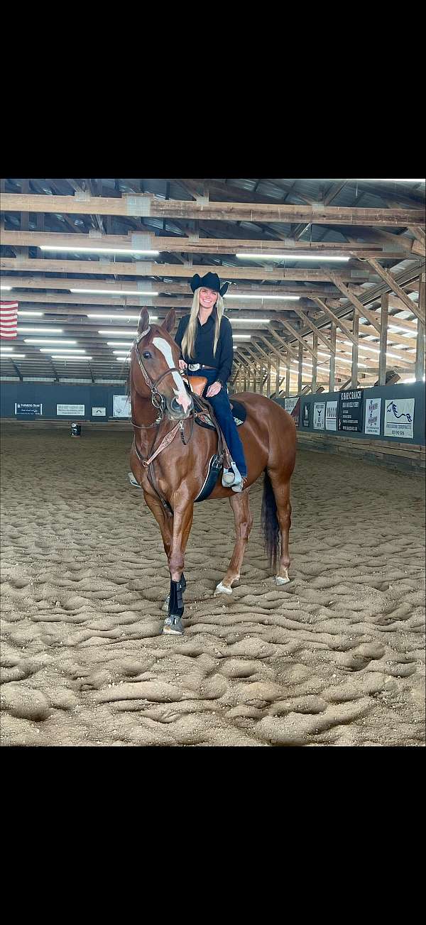 chestnut-blaze-pony