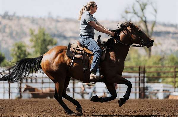 athletic-paint-horse
