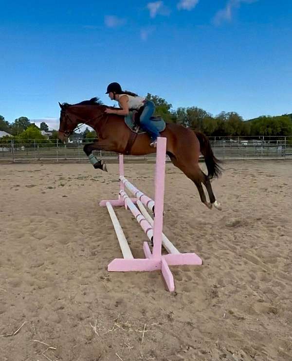 french-mare