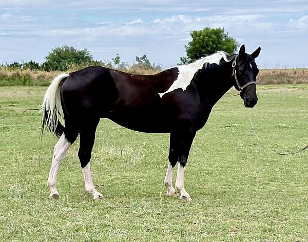 eng-mare