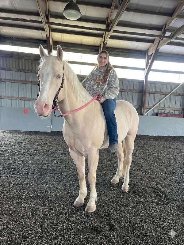 champagne-blue-eyed-trail-riding-horse