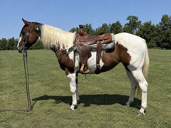 tobiano-horse